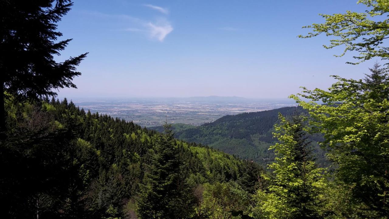 Relais & Chateaux Hotel Schwarzmatt Badenweiler Eksteriør billede
